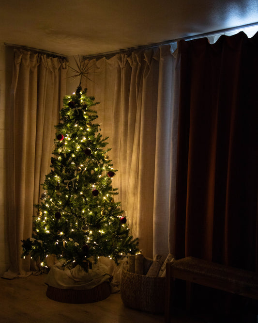 Podcast/Meeting Room